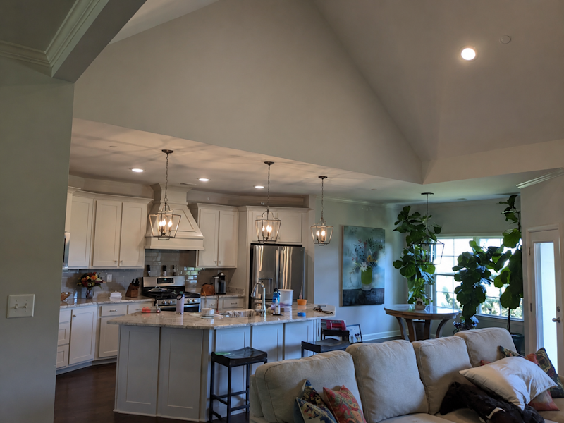 Professional Painting